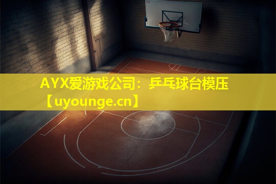 AYX爱游戏公司：乒乓球台模压