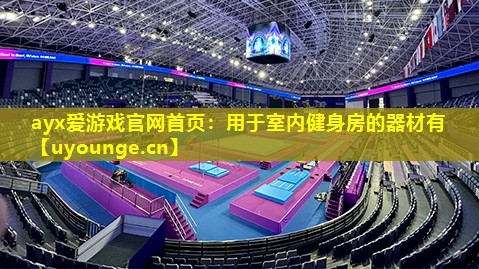ayx爱游戏官网首页：用于室内健身房的器材有
