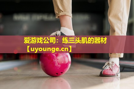 爱游戏公司：练三头肌的器材