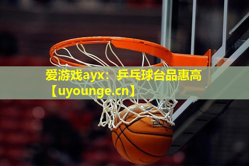 爱游戏ayx：乒乓球台品惠高