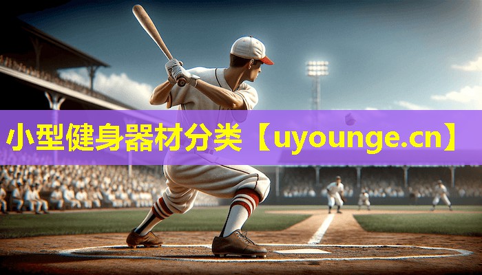 小型健身器材分类