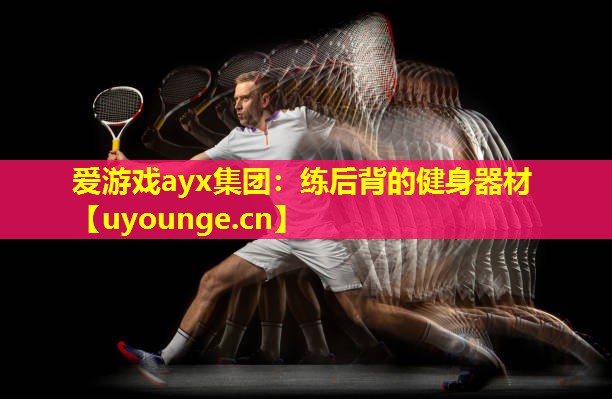 爱游戏ayx集团：练后背的健身器材