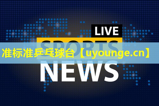 准标准乒乓球台