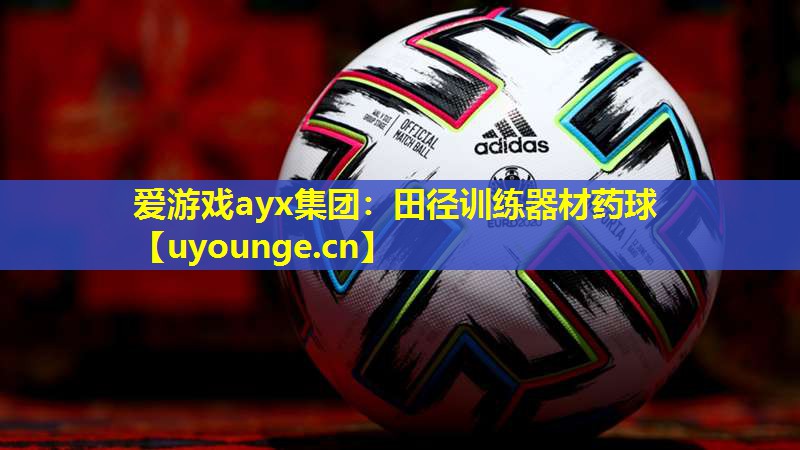 爱游戏ayx集团：田径训练器材药球