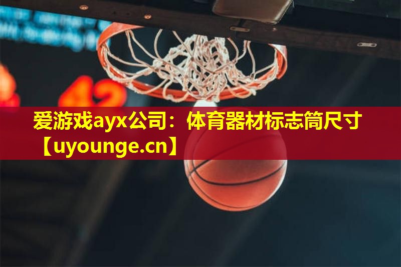 爱游戏ayx公司：体育器材标志筒尺寸