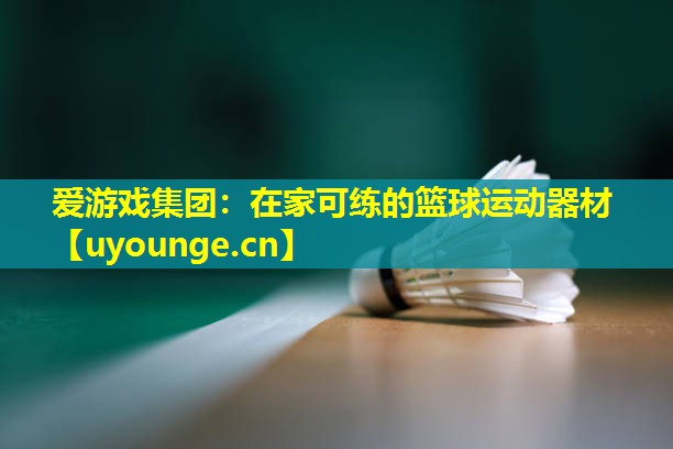 爱游戏集团：在家可练的篮球运动器材