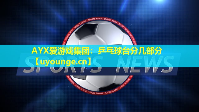 AYX爱游戏集团：乒乓球台分几部分