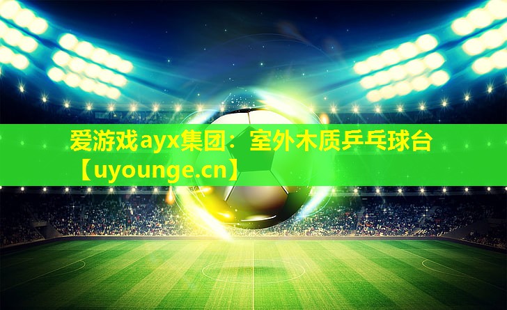 爱游戏ayx集团：室外木质乒乓球台