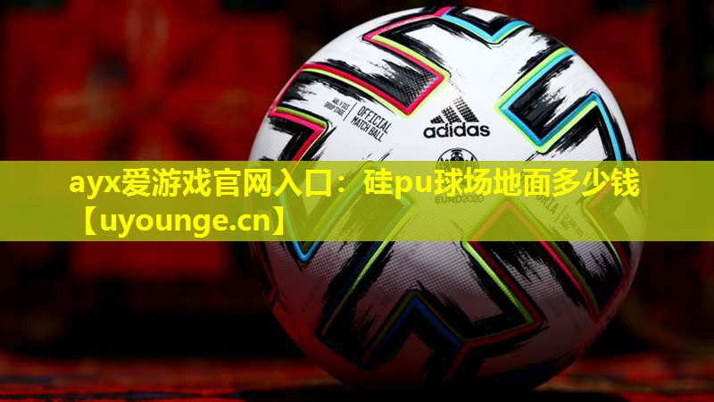 ayx爱游戏官网入口：硅pu球场地面多少钱