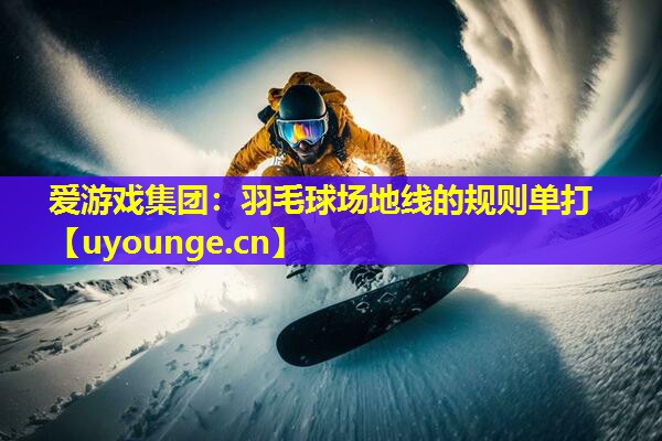爱游戏集团：羽毛球场地线的规则单打