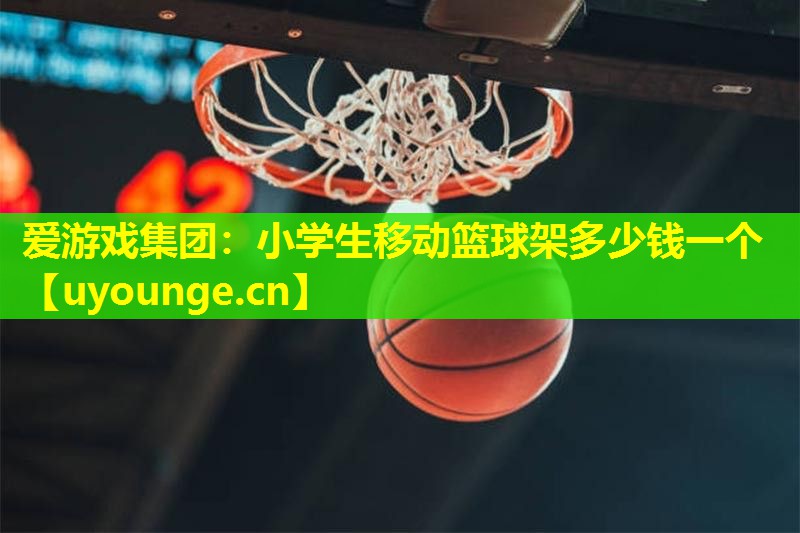 爱游戏集团：小学生移动篮球架多少钱一个