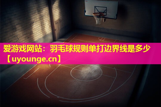 爱游戏网站：羽毛球规则单打边界线是多少