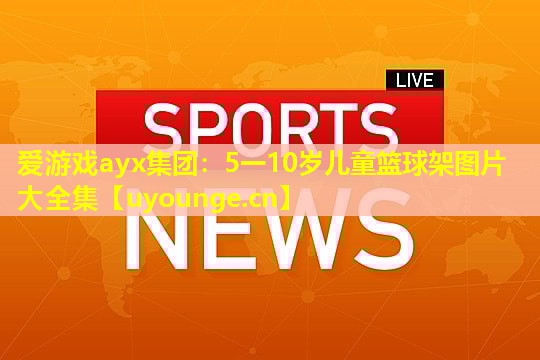 爱游戏ayx集团：5一10岁儿童篮球架图片大全集