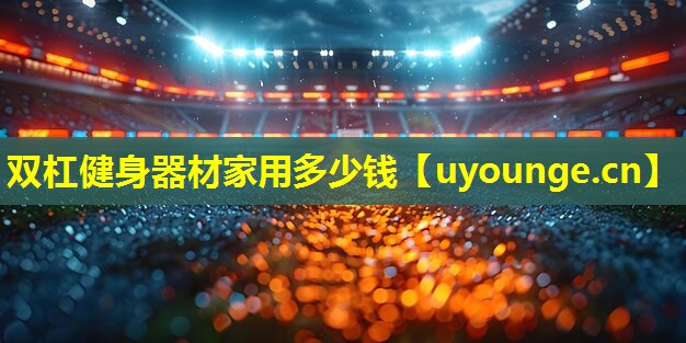 双杠健身器材家用多少钱
