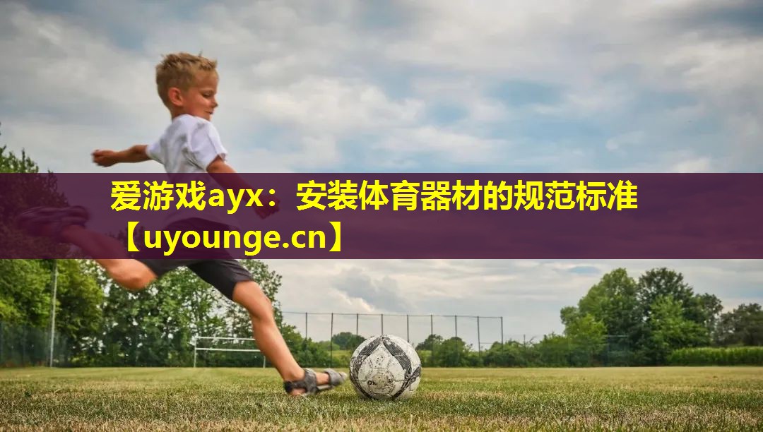 爱游戏ayx：安装体育器材的规范标准