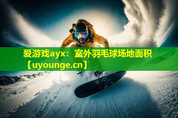 爱游戏ayx：室外羽毛球场地面积