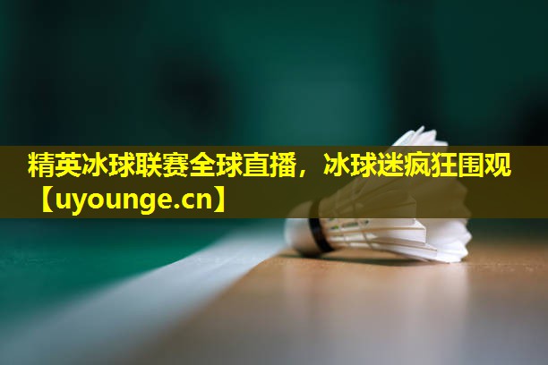 精英冰球联赛全球直播，冰球迷疯狂围观