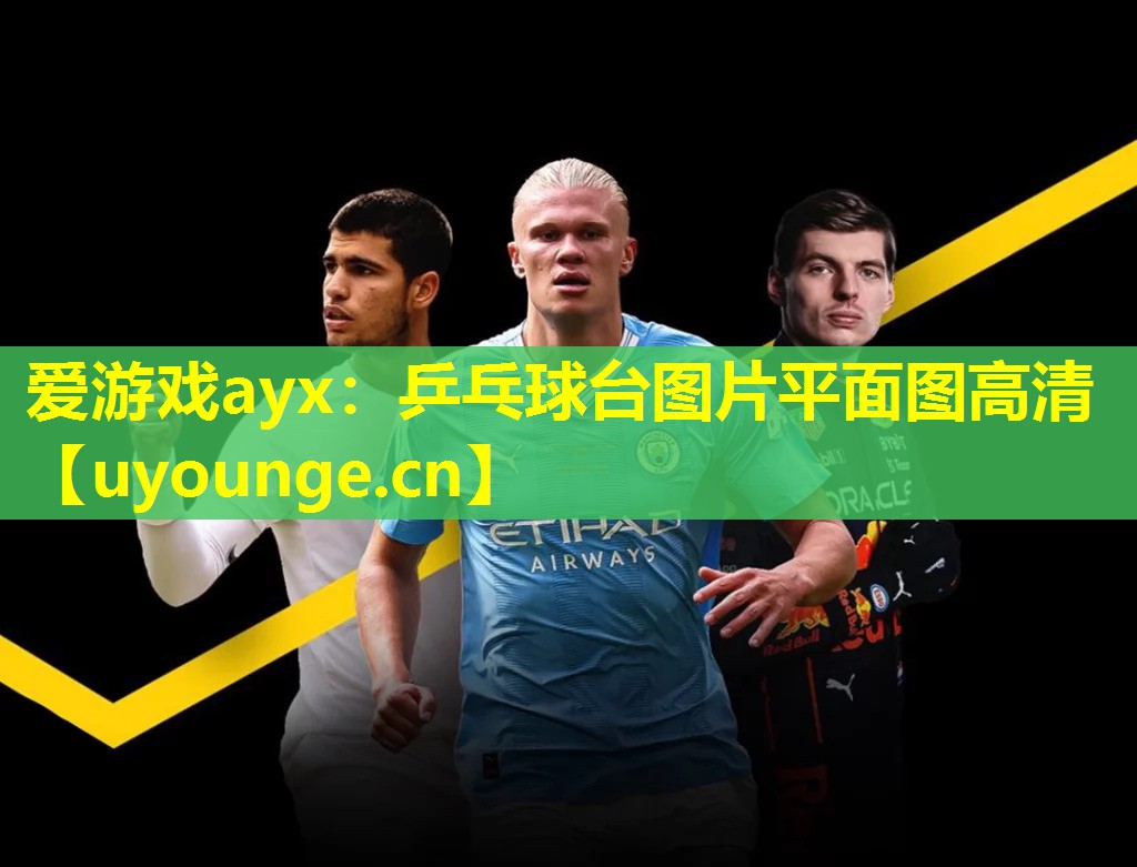 爱游戏ayx：乒乓球台图片平面图高清