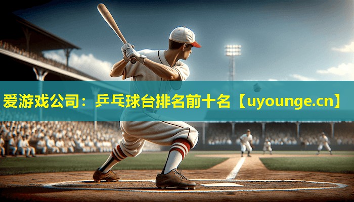 爱游戏公司：乒乓球台排名前十名