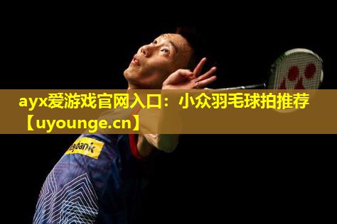 ayx爱游戏官网入口：小众羽毛球拍推荐