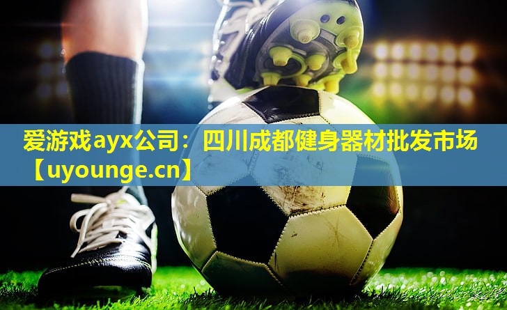 爱游戏ayx公司：四川成都健身器材批发市场