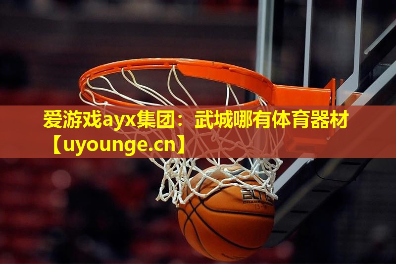 爱游戏ayx集团：武城哪有体育器材