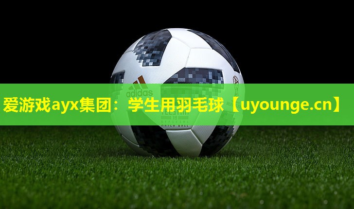爱游戏ayx集团：学生用羽毛球