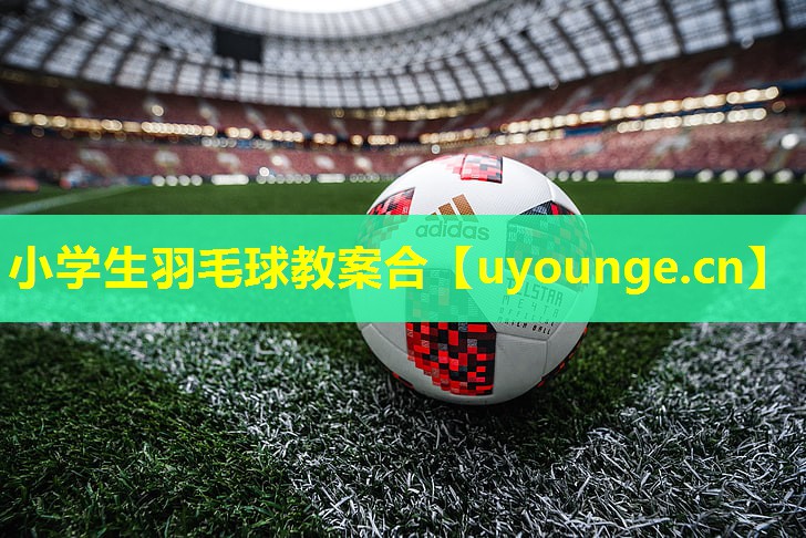 小学生羽毛球教案合