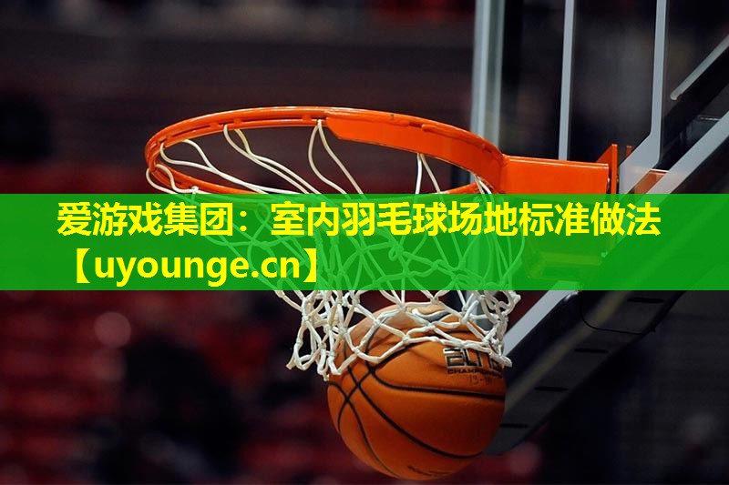 爱游戏集团：室内羽毛球场地标准做法