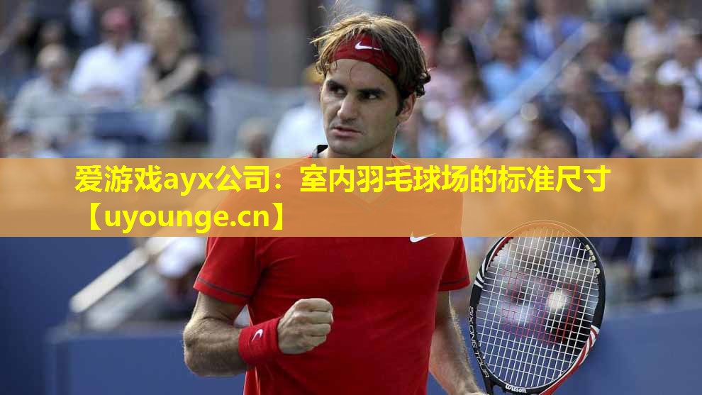 爱游戏ayx公司：室内羽毛球场的标准尺寸