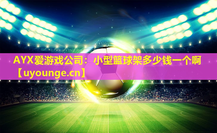 AYX爱游戏公司：小型篮球架多少钱一个啊
