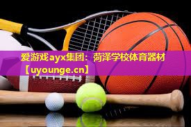 爱游戏ayx集团：菏泽学校体育器材