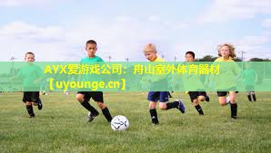 AYX爱游戏公司：舟山室外体育器材