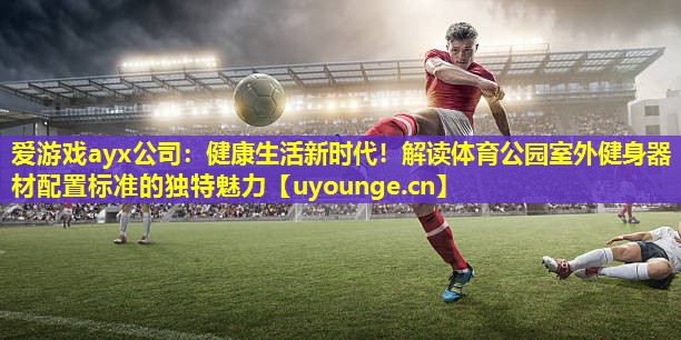 爱游戏ayx公司：健康生活新时代！解读体育公园室外健身器材配置标准的独特魅力