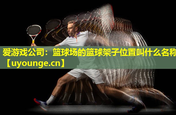 爱游戏公司：篮球场的篮球架子位置叫什么名称