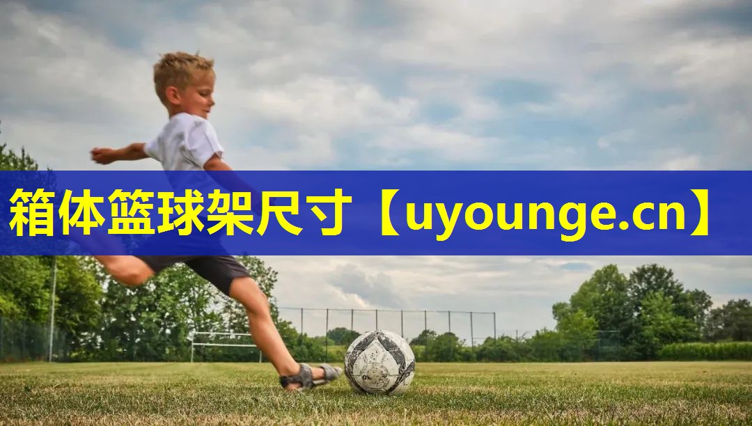箱体篮球架尺寸
