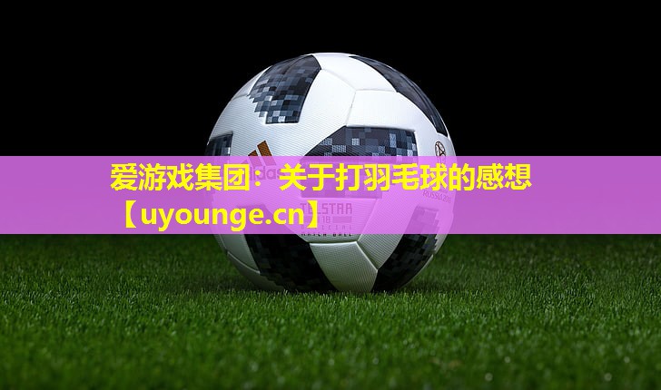 爱游戏集团：关于打羽毛球的感想