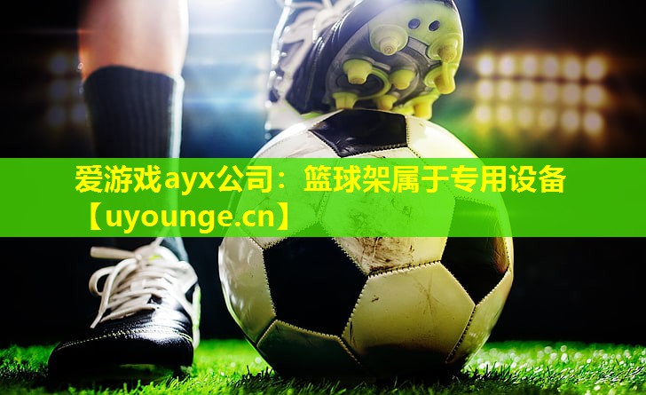 爱游戏ayx公司：篮球架属于专用设备