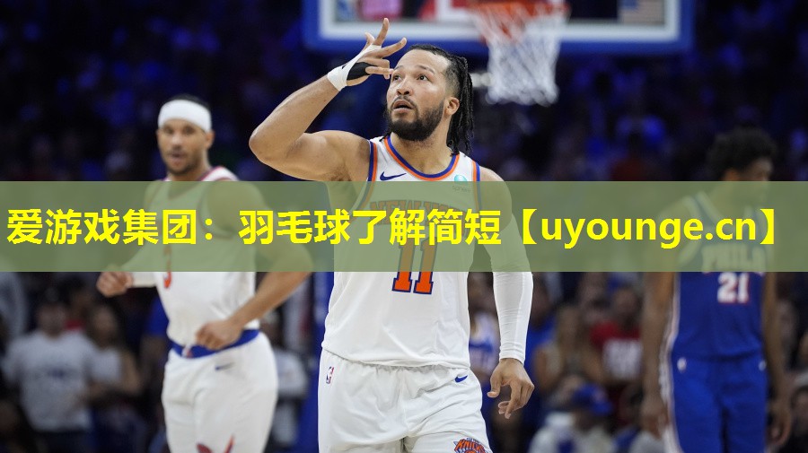 爱游戏集团：羽毛球了解简短