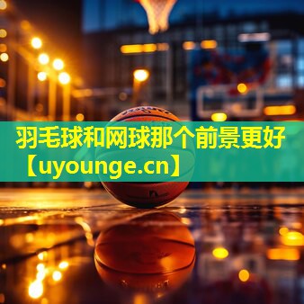 羽毛球和网球那个前景更好