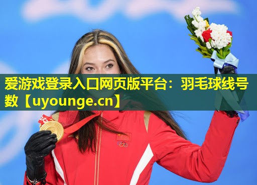 爱游戏登录入口网页版平台：羽毛球线号数