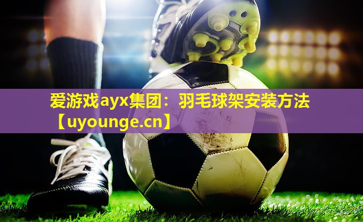 爱游戏ayx集团：羽毛球架安装方法
