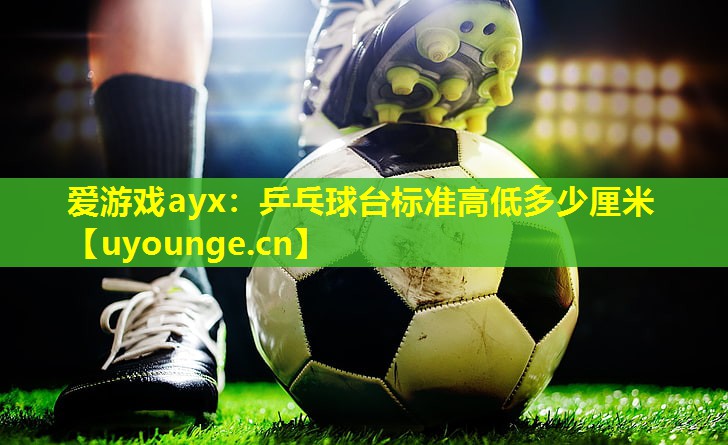 乒乓球台标准高低多少厘米 乒乓球台标准高低多少厘米