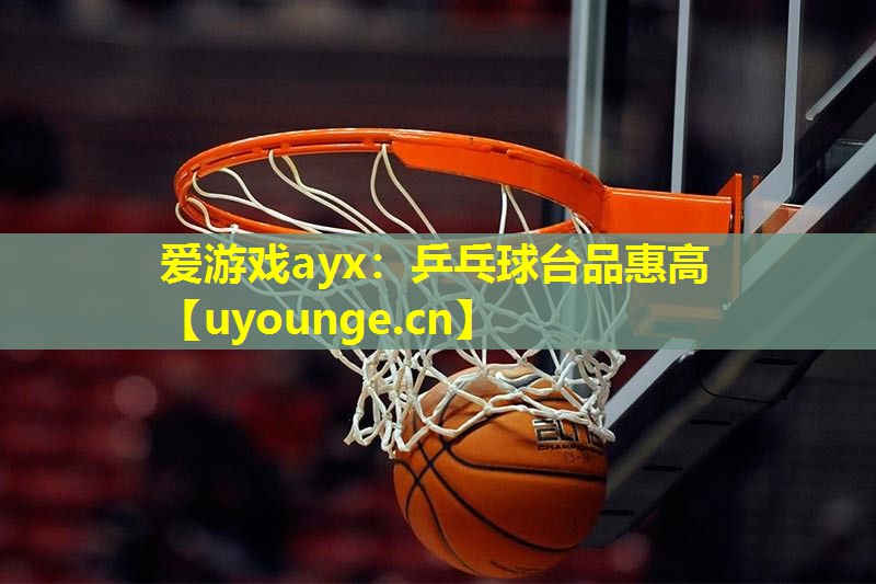 乒乓球台品惠高 乒乓球台品惠高