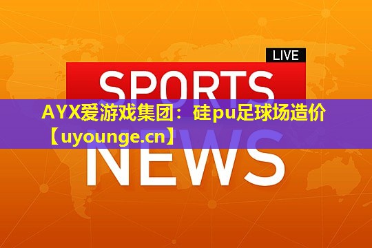 硅pu足球场造价 硅pu足球场造价