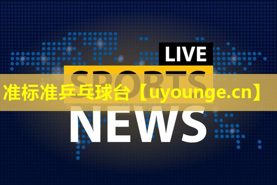 准标准乒乓球台 准标准乒乓球台