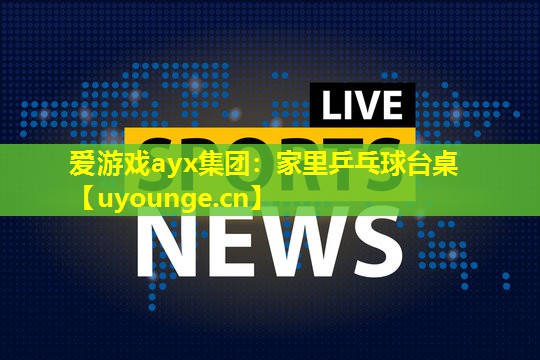 家里乒乓球台桌 家里乒乓球台桌