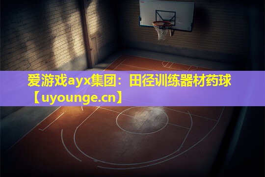 田径训练器材药球 田径训练器材药球