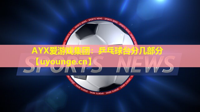 乒乓球台分几部分 乒乓球台分几部分