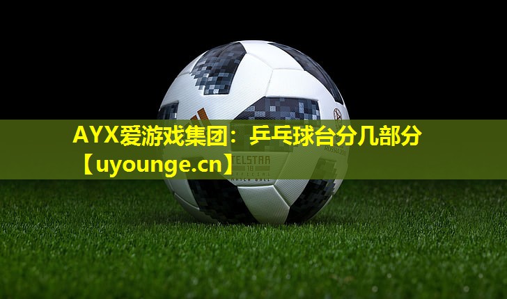 乒乓球台分几部分 乒乓球台分几部分